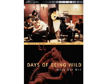 Days of Being Wild